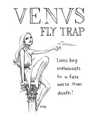 Venus Fly Trap